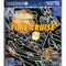 Time Cruise - Complete - TurboGrafx-16